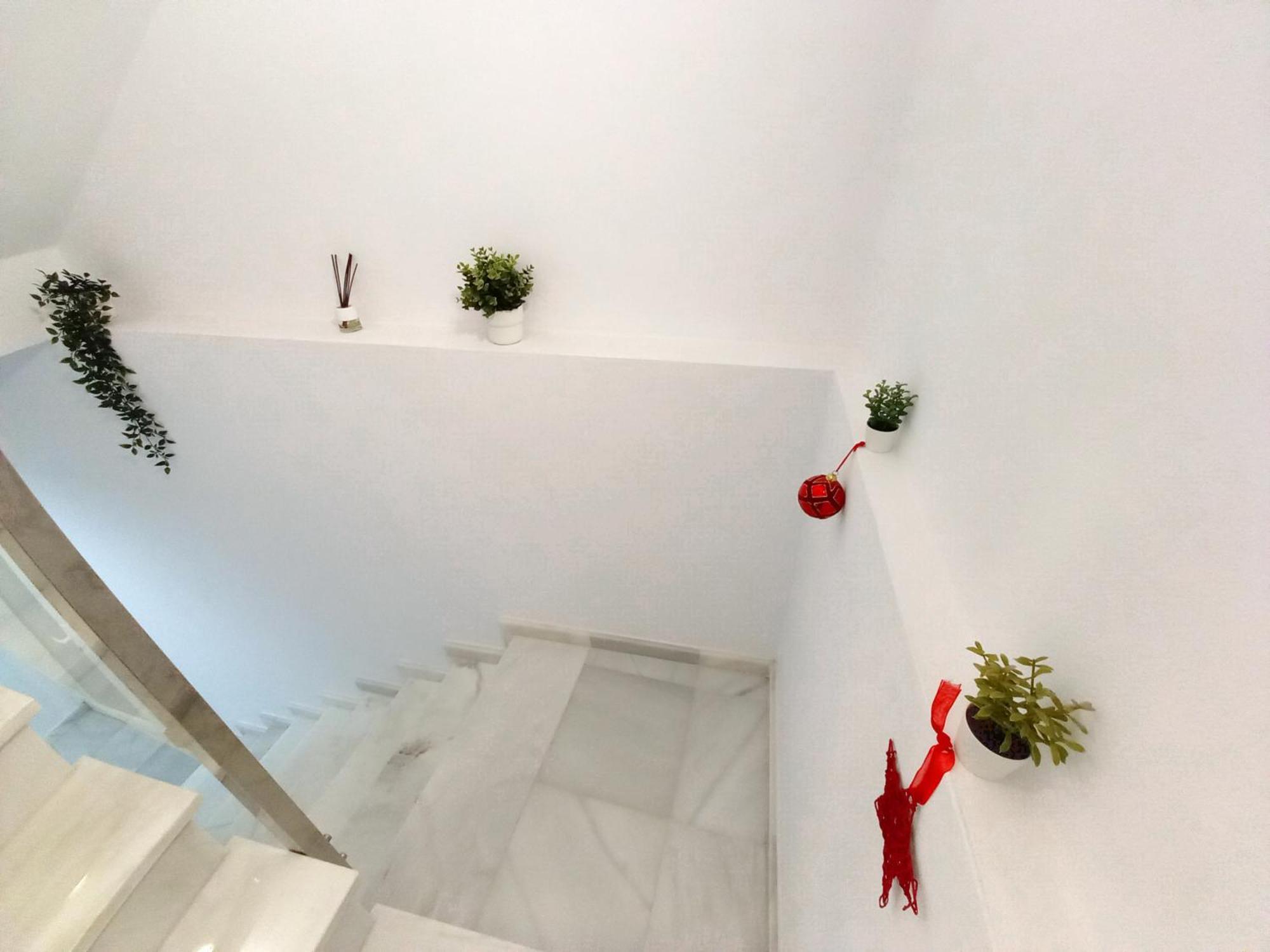 Casa Malakita With Private Seaview Roof Terrace Daire Conil De La Frontera Dış mekan fotoğraf
